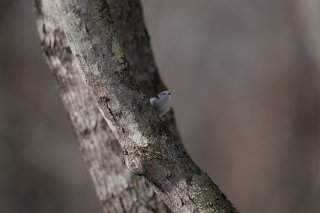 さいきん梅雨が来るの早すぎじゃない? 2023.5.31(水)