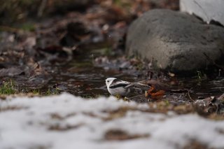 さて、雨の日をどうやって楽しもうか? 2023.5.24(水)