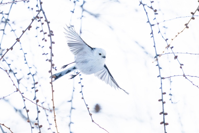 時間は有限だからさ（Ｃ）小原玲