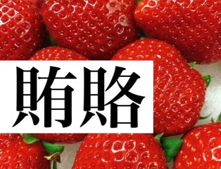 「脱いだパンツ」を巡る心理戦