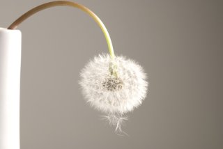 しょんぼりする男性もいる!?交わる前に「おりものシートいつ外すか」問題