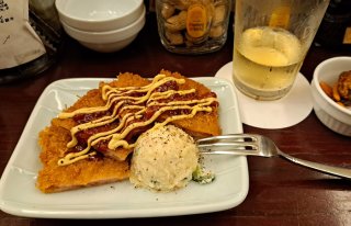 歯科矯正で“ハムカツNG”となり、人生の楽しみが半減 2023.6.3（土）