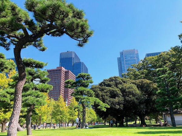 お子さまが歩く練習をしていました（C）コクハク