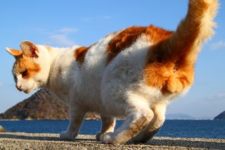 「日焼けに注意！」夕映えの“たまたま”からのありがたい一言