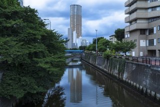 梅雨色の景色を楽しむ 2023.7.7(金)