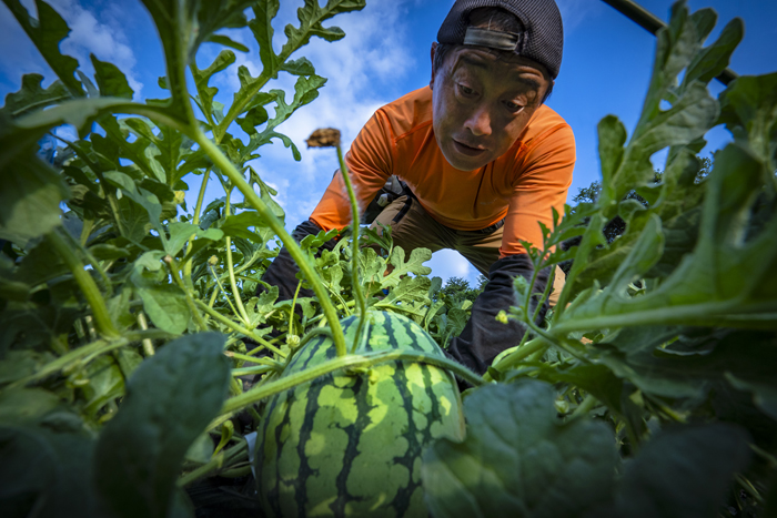 「こいつを育てるぞ！」という声が聴こえてくる
