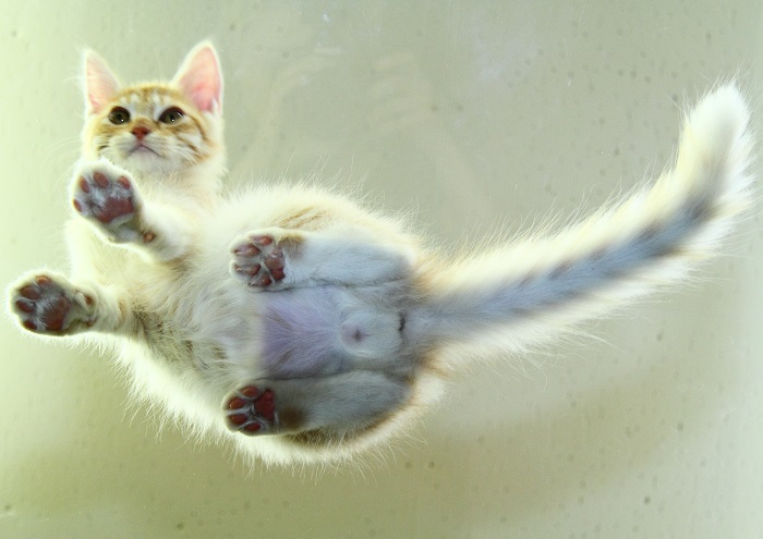 （写真:芳澤ルミ子）