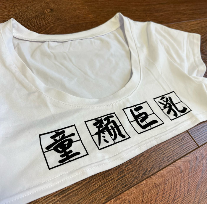 どう考えても、丈が短すぎるだろ。