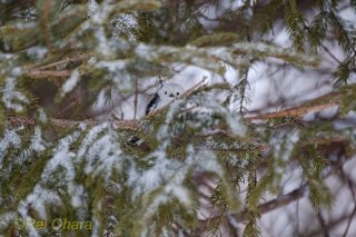 「見慣れる」ってこわい 散らかった部屋を眺めて考えたこと