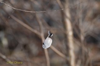 飛び立つのは怖いけど…いくつになっても思い切りって大事