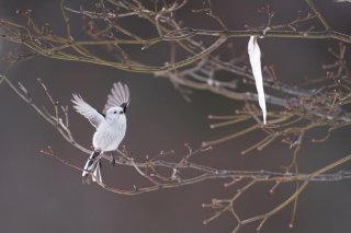 真似から始まったファッションも、いつか体に馴染むもの