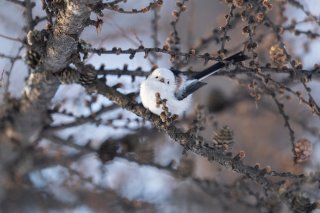 スッピンよりも「メイクした顔」を褒められたほうがうれしい