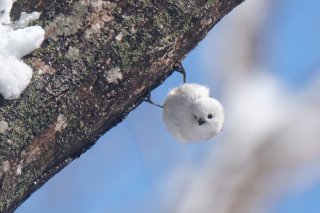 自分を変えるのがイヤなら場所を変えればいいんじゃない？