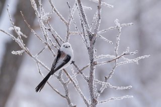 すべてはそこから 人も食べ物も「相手を知る」と好きになる