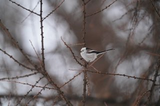 「人はひとり」だからこそ「みんな」が楽しいんだろうね