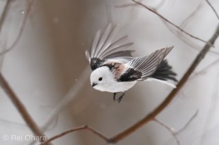 近すぎなくていい 毎日は“ゆるい人間関係”に支えられている