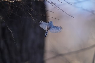 思いもつかない理由で「常識」は簡単にひっくり返るから…