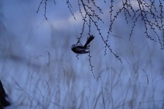 「正しくないこと」が「美しくない」とは限らないと知った