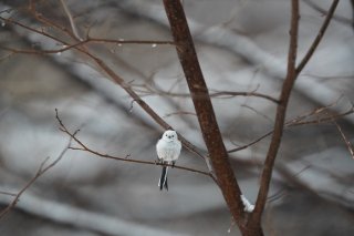 「みんな好き」と言っていた子が突然「順位」を付け始めた