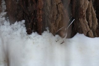 探し物のほうも「見つけられるタイミング」をうかがっている