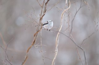 隣に誰かがいるのに「人恋しい」と思ってしまうこと、ない?