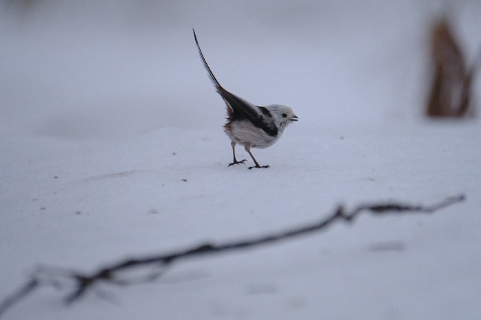 いろいろ気づいちゃうよね（Ｃ）小原玲