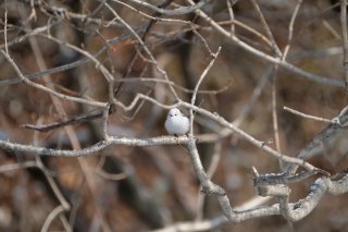 人は「趣味が合わない相手」と恋に落ちることがある