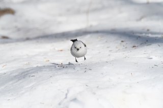 「ひとつ前の季節」を懐かしく思う不思議 2023.8.26（土）