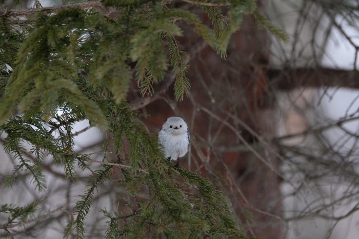 信じて見守って（Ｃ）小原玲