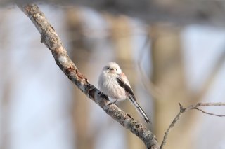 抱えきれない気持ちは外に出したほうがいい 2023.8.30（水）