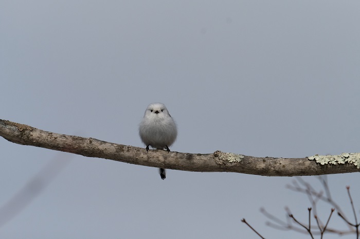 「はじめまして」ってドキドキするね（Ｃ）小原玲