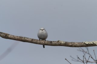 タイパ？ なにそれ。映画館で初対面の作品と出会う胸のときめき