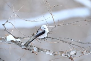 便利家電を使いこなすお婆ちゃんが教えてくれたこと