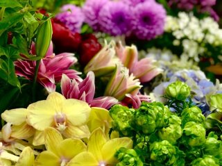 居間や仏壇の花がすぐしおれる理由に納得！今すぐできる「短命回避術」