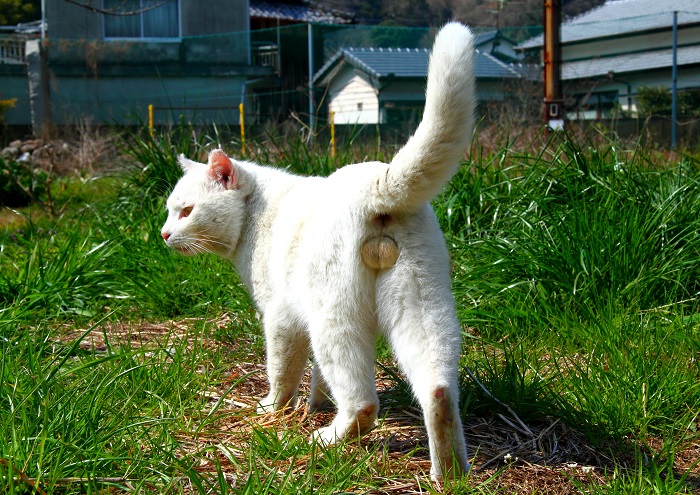 （写真:芳澤ルミ子）