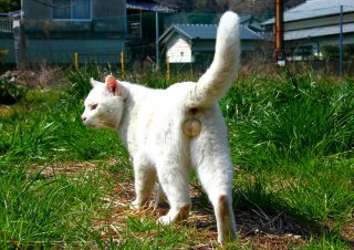 まるで御神体のよう！ 美しく雄々しい“たまたま”に幸せを祈ります…