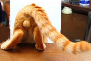 遊びスイッチ全開にゃ！ 猛ダッシュ“たまたま”の一瞬をパチリさせて～