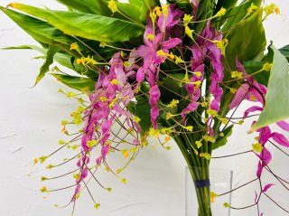 日持ち抜群「ジンジャー科のお花」の摩訶不思議、1週間過ぎても元気！