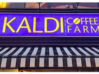 【KALDI】献立に迷ったら! リピ買い必至な時短アイテム5選