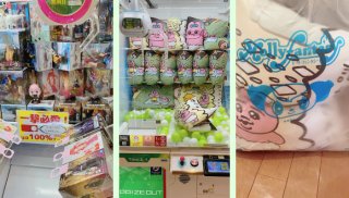 40代独女が「ひとりでできる趣味」でクレーンゲーム中毒になりかけた！