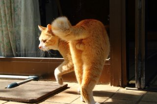 まるでリヴァー・フェニックス！美少年“たまたま”にうっとり