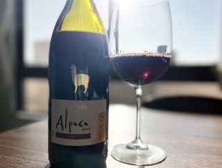 絶対買い!アルパカワインがお宝な件、ガチで権威あるコンクールで金賞