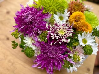 500mlペットボトルは花器になる！マム（菊）をもっと身近に楽しむ方法