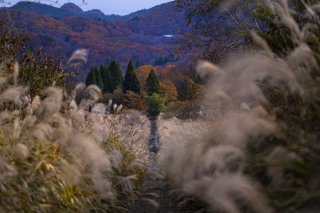 通り過ぎた季節、むせかえるほど深い秋景色の中を歩いた