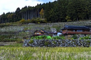 自然の石を積んだ石垣でできた江戸時代から続く「棚田の村」