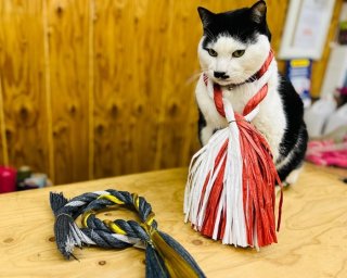 お正月にしめ縄って必要かぃ?「しめ縄」と「しめ縄飾り」の違いも解説