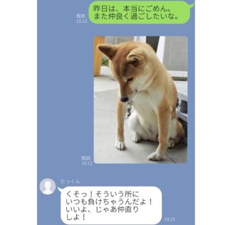 「また仲良くしたいな」と飼い犬の画像を送る女…仲直りはペットが鉄板♪