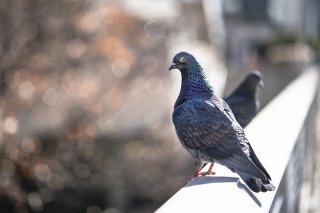 何をそんなに怒っているのだ？