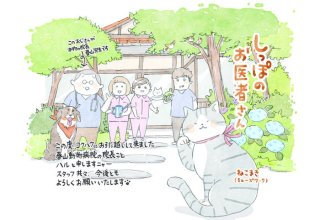 ほっこり癒し漫画／第67回「おかえり銀ちゃん」