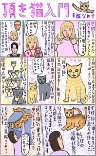 辛酸なめ子さんの「頂き猫入門」もし猫なら…全然許せます、無罪です！